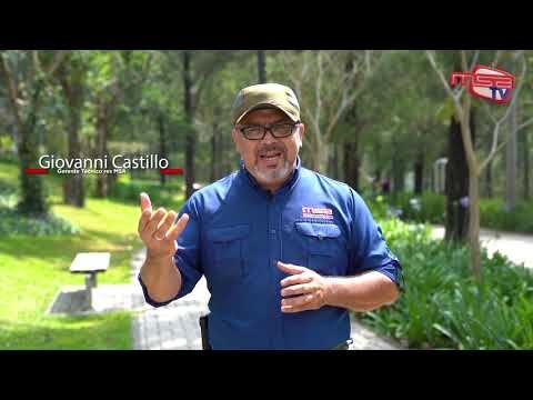 Importancia de la biodisponibilidad en la absorci&oacute;n de nutrientes