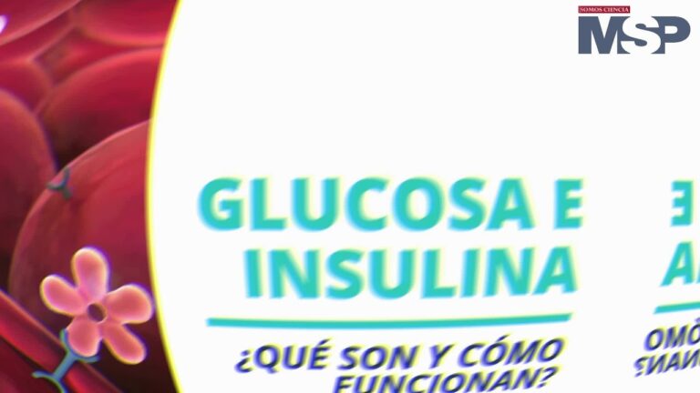 La Insulina: Su Papel en el Metabolismo y el Control del Peso Corporal