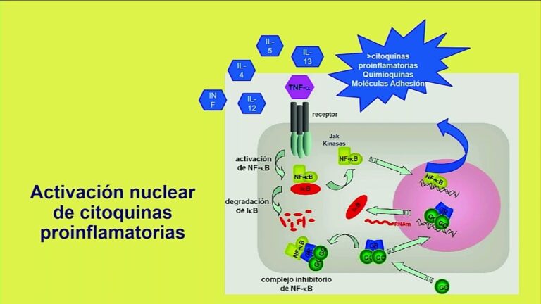 Terapia con Mesalazina para la Enfermedad de Crohn