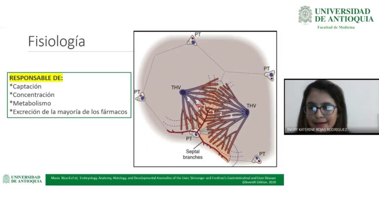 Toxicidad hep&aacute;tica inducida por medicamentos: Farmacocin&eacute;tica y riesgos