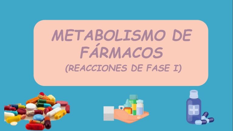 Productos de la biotransformaci&oacute;n en fases I y II: Una visi&oacute;n general