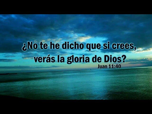 Andr&eacute;s Ribon Gloria