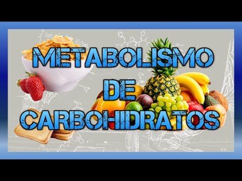 Análisis del Metabolismo Enzimático
