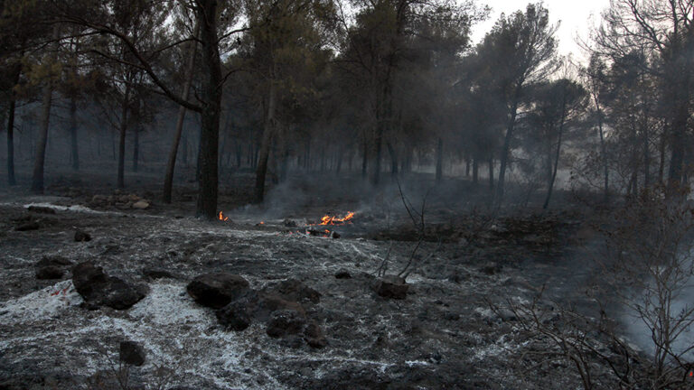 Farmacias en Los Guajares: Gu&iacute;a Completa