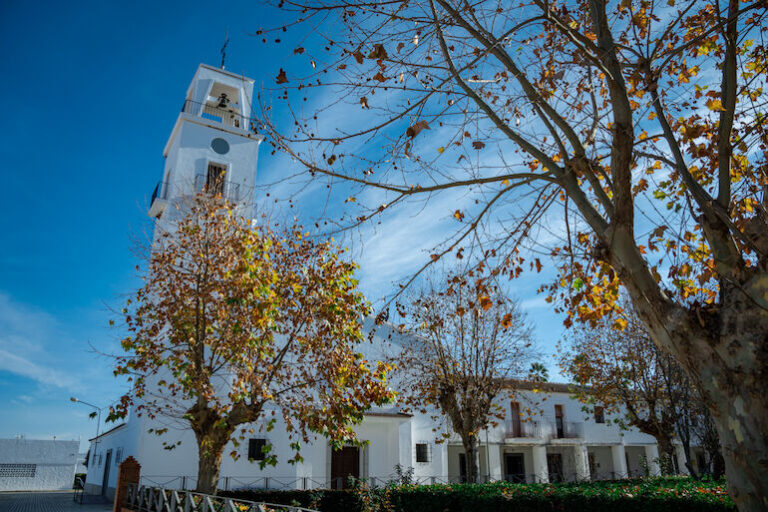 Farmacias en Torremayor, Badajoz: Gu&iacute;a Completa