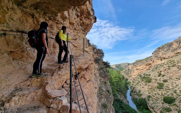 Gu&iacute;a de Farmacias en Mart&iacute;n del R&iacute;o, Teruel