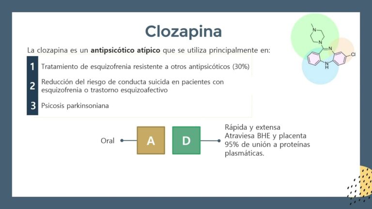 Perspectivas actuales sobre toxicocin&eacute;tica y metabolismo qu&iacute;mico