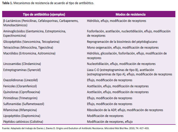 La farmacorresistencia en la farmacodin&aacute;mica: una perspectiva clave