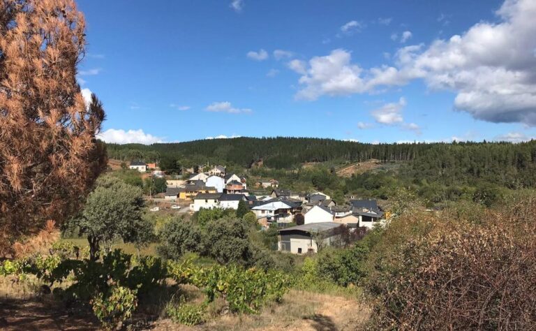 Las mejores farmacias en Arganza, Le&oacute;n