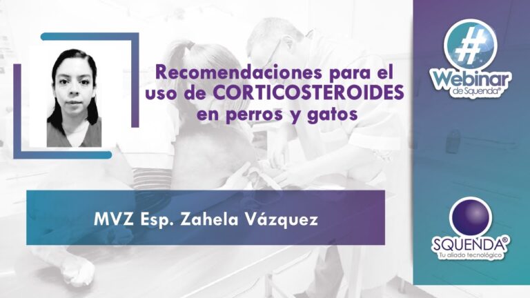 Uso breve de prednisona en tratamientos m&eacute;dicos