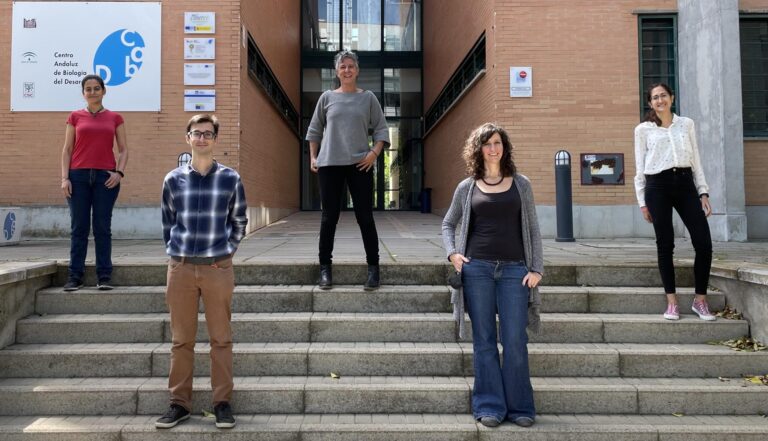 Mart&iacute;nez P&eacute;rez Mar&iacute;a De Las Merc&eacute;