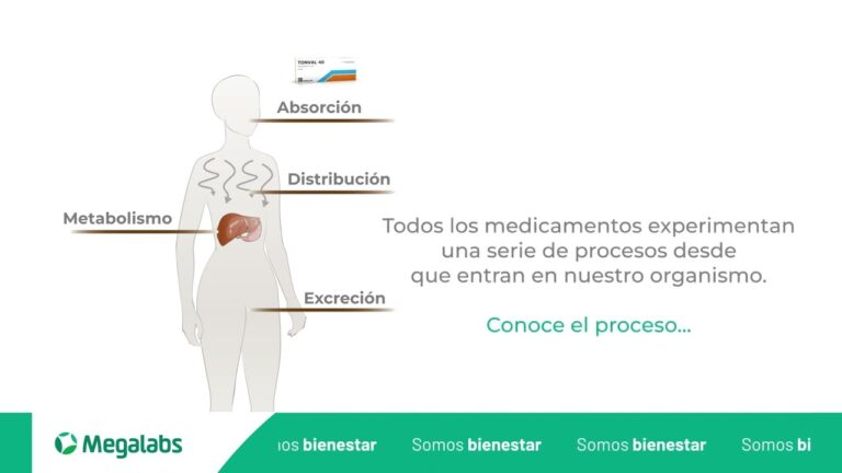 El impacto de la eliminaci&oacute;n de medicamentos en el cuerpo