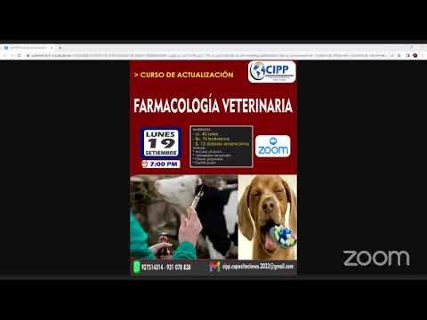 Desaf&iacute;os en la liberaci&oacute;n farmacol&oacute;gica: Una mirada cr&iacute;tica