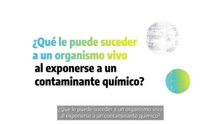 Impacto de la Biotransformaci&oacute;n en la Toxicidad