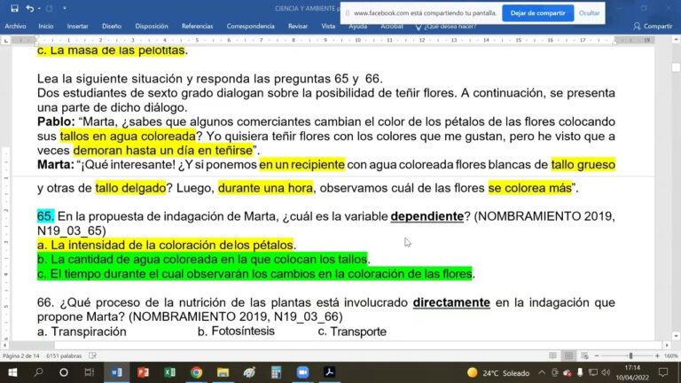 Interacciones Medicamentosas y su Impacto en el &Aacute;rea Bajo la Curva
