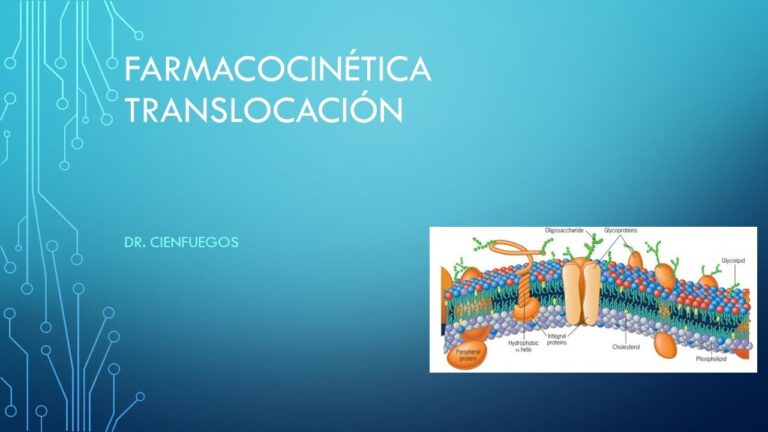 Transporte activo de f&aacute;rmacos: clave en el organismo
