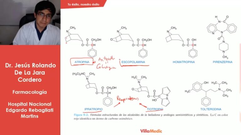 Tratamientos farmacol&oacute;gicos para el sistema nervioso: una gu&iacute;a completa