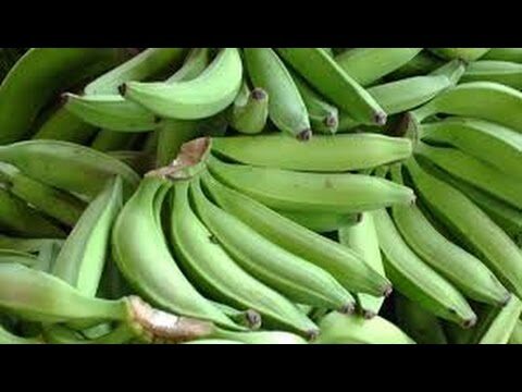 Consejos para Almacenar Medicamentos en Climas C&aacute;lidos