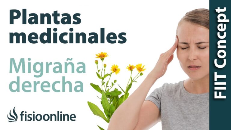 Alternativas naturales para aliviar el dolor de cabeza
