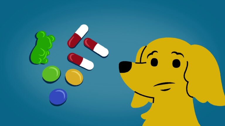 Importancia de no compartir medicamentos: consejos m&eacute;dicos