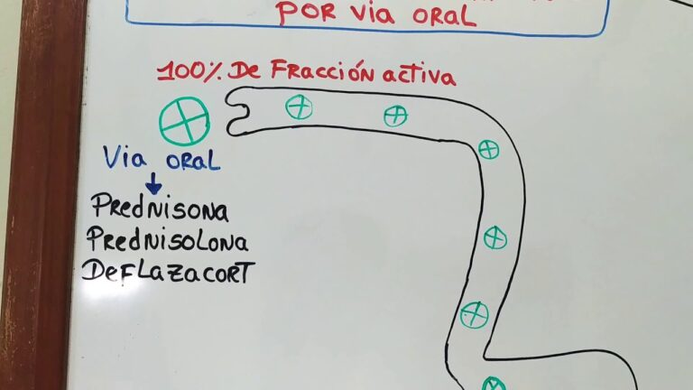 El mecanismo de acci&oacute;n de la prednisona en la inmunosupresi&oacute;n