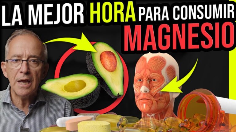 Maximizando la Absorci&oacute;n de Suplementos en el Cuerpo