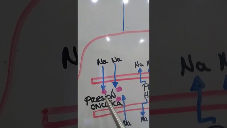 Espironolactona en el manejo del s&iacute;ndrome nefr&oacute;tico