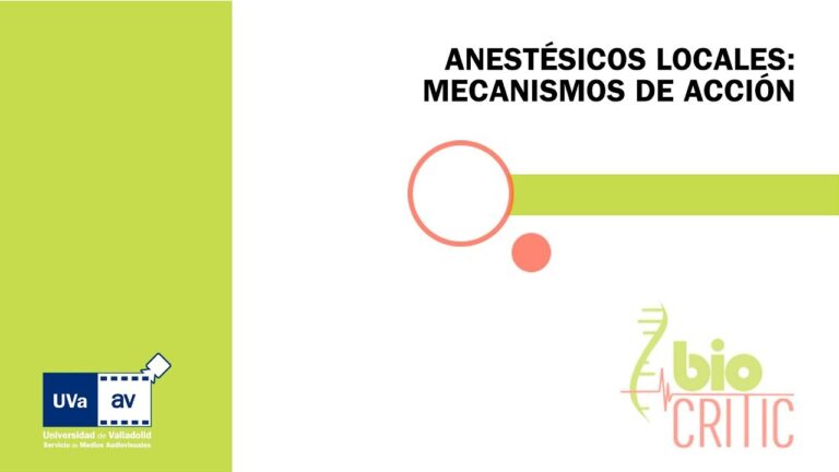 Mecanismo de Acci&oacute;n de los Anest&eacute;sicos Locales en Medicina