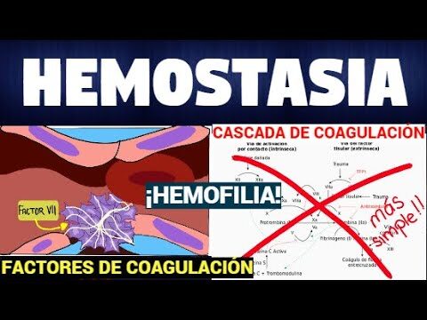 Beneficios de Clopidogrel en Trastornos de Coagulaci&oacute;n