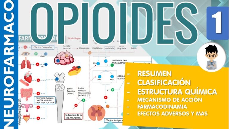 Interacciones Medicamentosas: Un An&aacute;lisis Farmacocin&eacute;tico