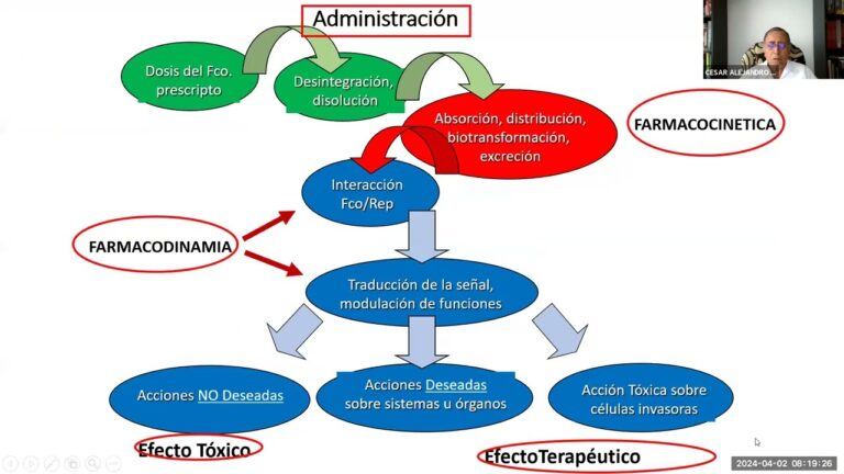 Farmacogen&eacute;tica y Biotransformaci&oacute;n en Interacciones Medicamentosas