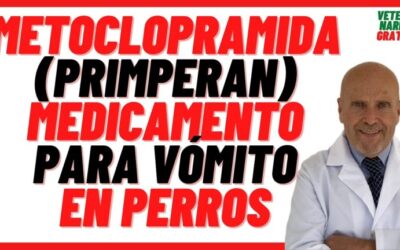 Farmacia Ortopedia Cepeda