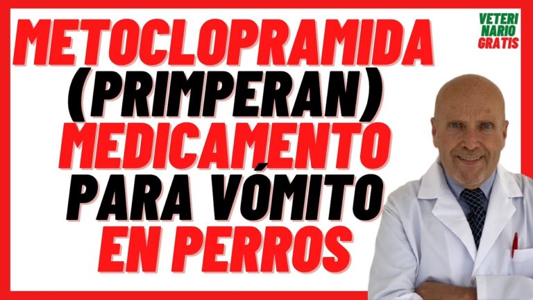 Aplicaciones de la Furosemida en Mascotas