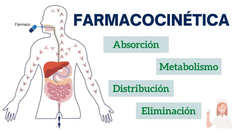 Farmacodin&aacute;mica y farmacocin&eacute;tica en el dise&ntilde;o de medicamentos