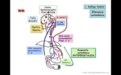 Farmacia Ortopedia Cepeda