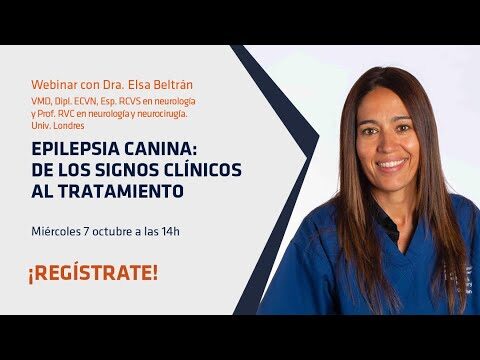 Gabapentina: terapia efectiva para la epilepsia