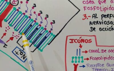 Farmacia Ortopedia Cepeda