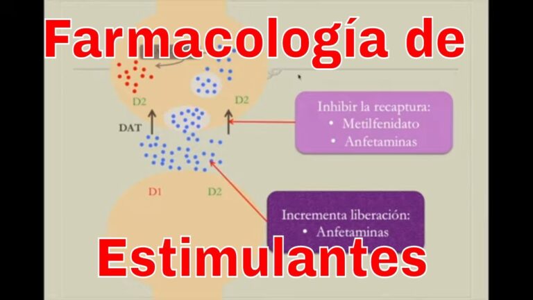 Beneficios del Modafinilo en el Ciclo de Sue&ntilde;o