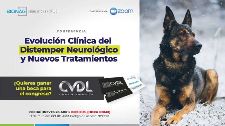 F&aacute;rmacos neuroprotectores para el sistema nervioso perif&eacute;rico: Una gu&iacute;a completa