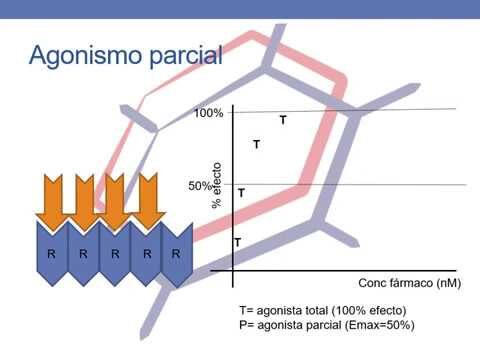Interpretaci&oacute;n de la curva en farmacolog&iacute;a: Gu&iacute;a pr&aacute;ctica