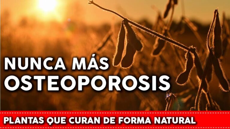 Gu&iacute;a para encontrar la mejor farmacia para tratar la osteoporosis