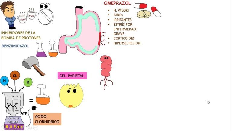La funci&oacute;n del esomeprazol como inhibidor de la bomba de protones