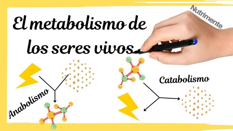 Procesos de biotransformaci&oacute;n en la naturaleza: una visi&oacute;n general