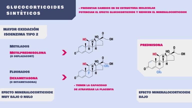 Uso de prednisona en enfermedades autoinmunes: beneficios y consideraciones