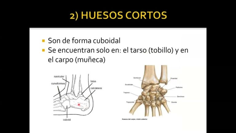 Avances en Técnicas Quirúrgicas en Ortopedia