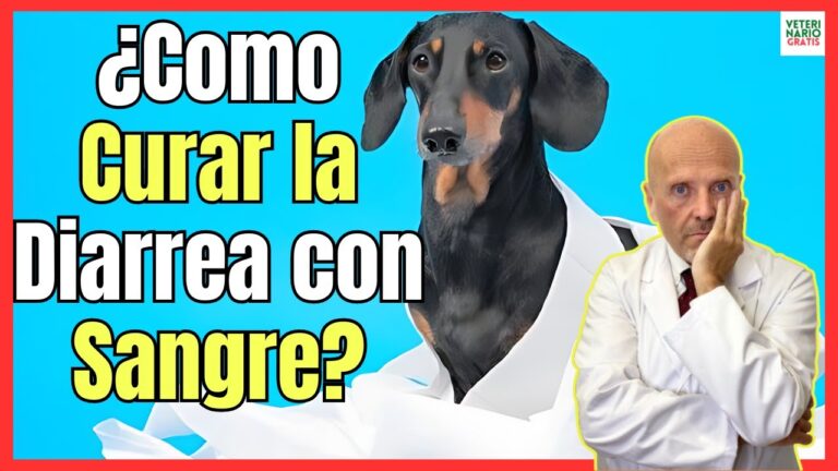 Uso de loperamida en v&oacute;mitos persistentes