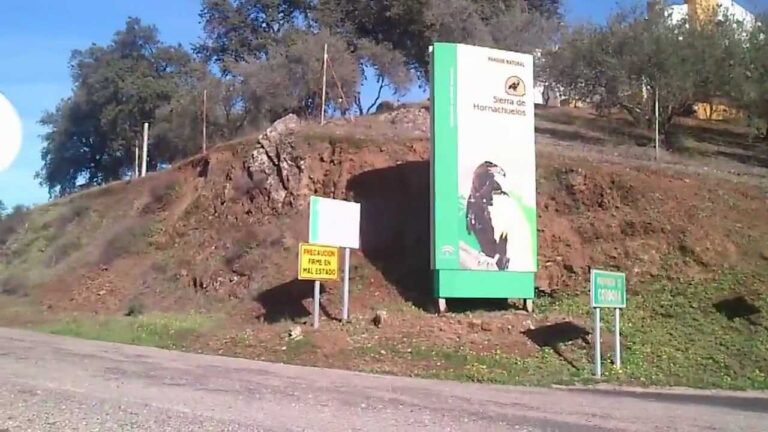 Mejores Farmacias en San Nicol&aacute;s del Puerto, Sevilla