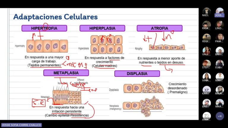 Farmacodinámica y adaptación microbiana: una perspectiva optimizada