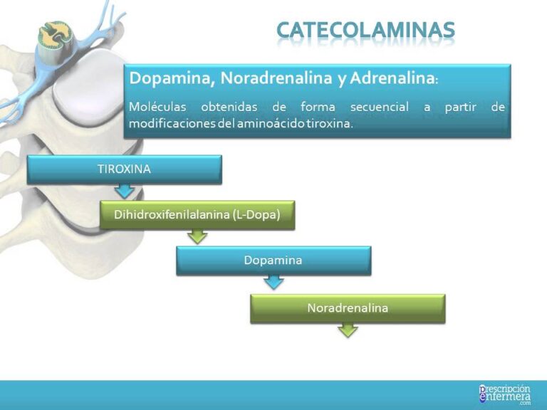 Optimizaci&oacute;n de la Farmacoterapia del Sistema Nervioso