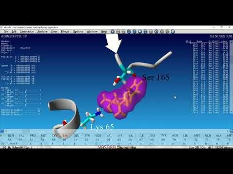 Explorando la biotransformaci&oacute;n de sustratos por enzimas